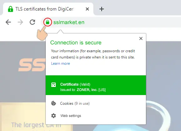 Displaying the EV certificate in the browser Displaying the EV certificate in the browser