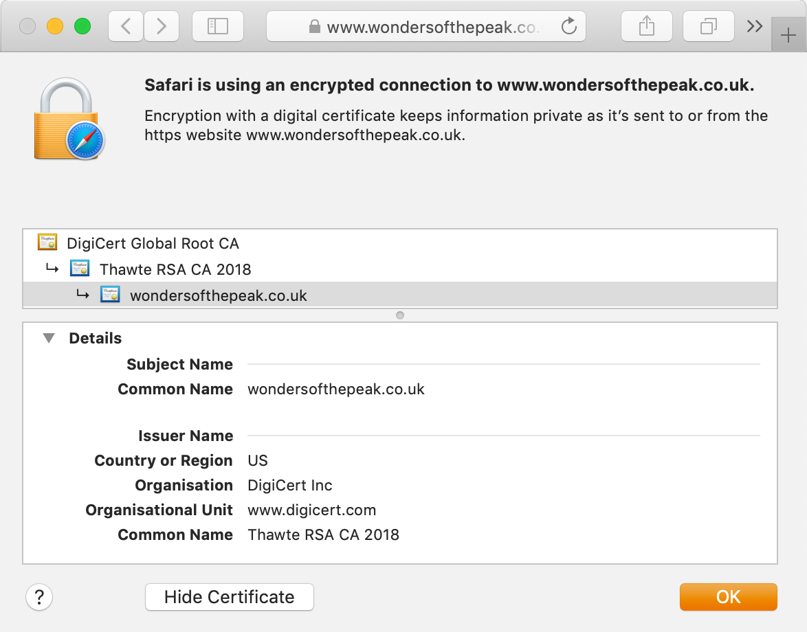 Look of the Thawte SSL123 Wildcard certificate in your browser's address bar