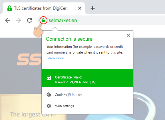 Displaying the EV certificate in the browser