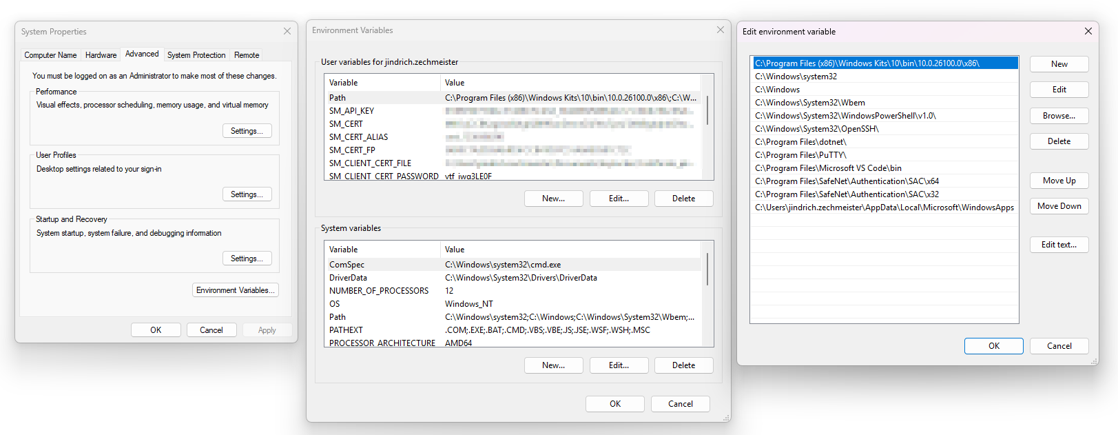 Adding variables via Windows GUI